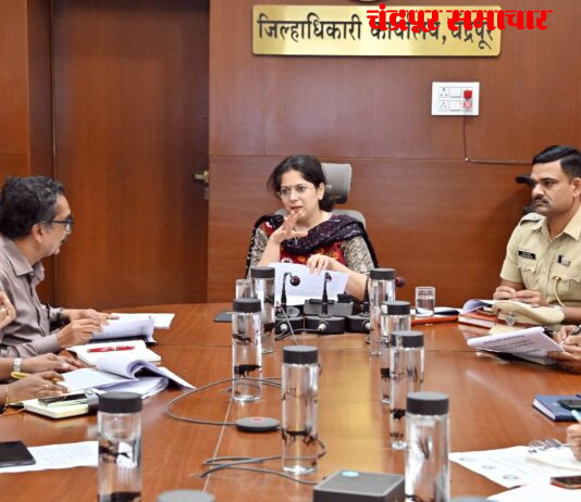 जिल्हाधिका-यांकडून पीसीपीएनडीटीच्या अंमलबजावणीचा आढावा