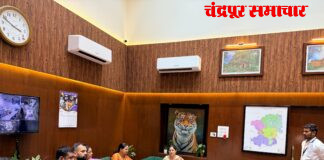 आकाशवाणी ते नगिनबाग नाल्याला सिमेंट काँक्रीटची भिंत बांधण्यासाठी १६ कोटी द्या खासदार प्रतिभा धानोरकर यांची जिल्हाधिकाऱ्यांकडे प्रत्यक्ष भेटून आग्रही मागणी