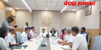 चंद्रपूर टायगर सफारी प्रकल्पाला वेग, वनमंत्री गणेश नाईक यांच्या अध्यक्षतेखाली मंत्रालयात आढावा बैठक