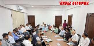 चंद्रपूर, यवतमाळमधील प्रदूषणावरील उपाययोजनांच्या कृती आराखड्याची प्रभावी अंमलबजावणी करा – पर्यावरणमंत्री पंकजा मुंडे यांचे निर्देश