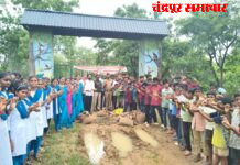 आदिवासी विद्यार्थ्यांनी तयार केले 2 लाख सीडबॉल Ø रिमझीम पावसात जंगल, डोंगर व मोकळ्या जागांवर सीडबॉलचा वर्षाव Ø पर्यावरण संवर्धनासाठी आदिवासी विकास विभागाचा अभिनव उपक्रम