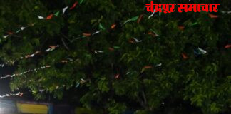 पालकमंत्री व वरिष्ठ अधिका-यांची आश्रमशाळेतील विद्यार्थ्यांसोबत पंगत विद्यार्थ्यांसोबत जमिनीवर बसून घेतला भोजनाचा आस्वाद; मनमोकळ्या संवादातून जाणून घेतल्या अपेक्षा