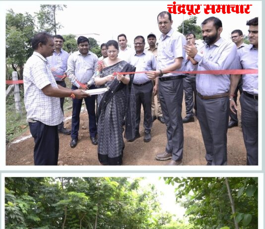 पर्यावरण शुद्ध व सुकर ठेवण्याचा धारिवाल इन्फ्रास्ट्रक्टर लिमिटेडचा पुढाकार प्रशंसनीय – वसुमना पंत, जिल्हाधिकारी, चंद्रपूर